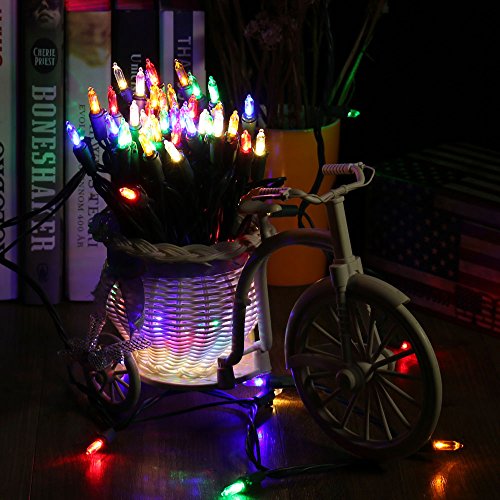Multicolor Christmas Lights Connectable (66 Foot)