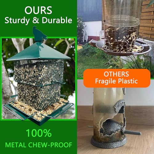 Bird Feeders for Outdoors