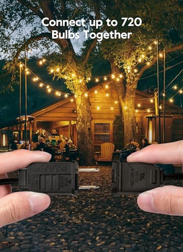 Outdoor String Lights (50 Count)