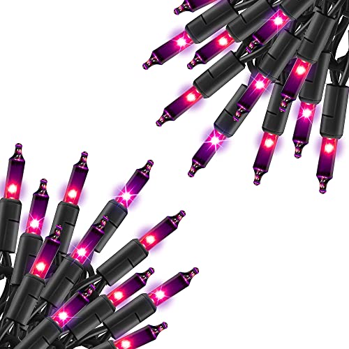 Purple Halloween Lights (21 Foot)