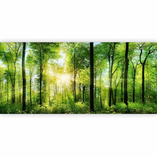 Wall Mural Wallpaper
