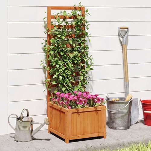 2 48" Raised Garden Bed with Trellis & Garden Box