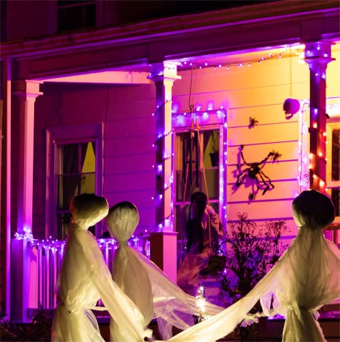 Brown Wire Purple 100 Incandescent Bulb Mini String Lights for Indoor Halloween Tree Home Garland Birthday Wedding Party Festival Decoration (100 Count)