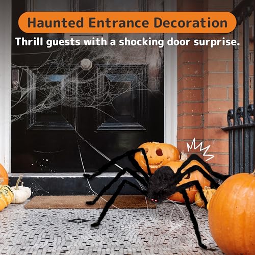 Halloween Spider with Light Up Eyes