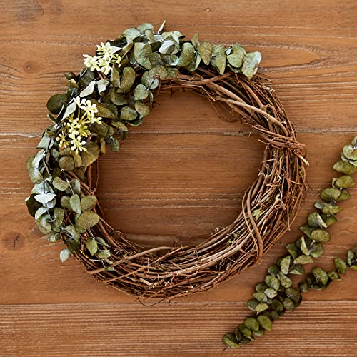 10" Natural Grapevine Wreath (10 Count)