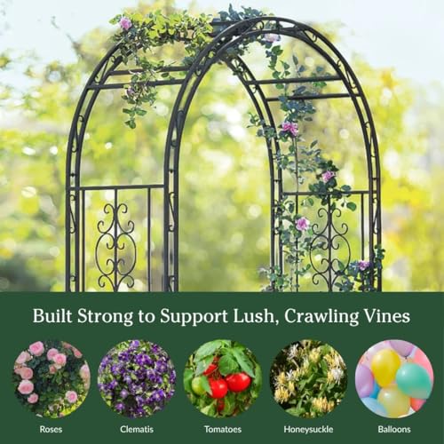 Arch Metal Outdoor Garden Arbor