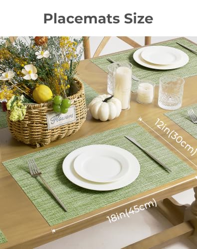 Bean Green Woven Placemats Set of 12 (12 Count)