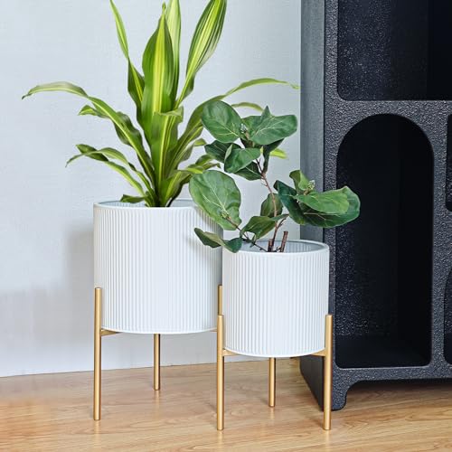 Modern Planter Pots (2 Count)