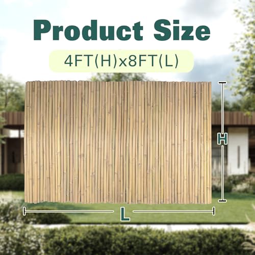 Bamboo Fence 4ft H x 8ft L x 0.7In D