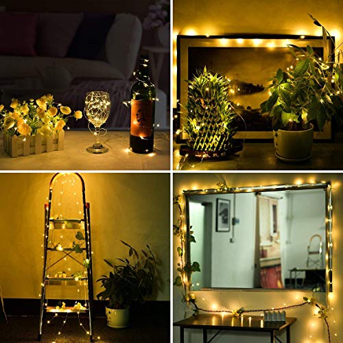 Battery Operated Fairy String Lights