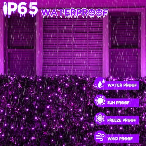 Solar Halloween Lights Outdoor 2 Pack 200 LED 66FT String Lights Purple (2 Count)