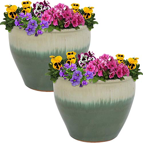 Sunnydaze Chalet 12" Ceramic Plant Pot (2 Count)