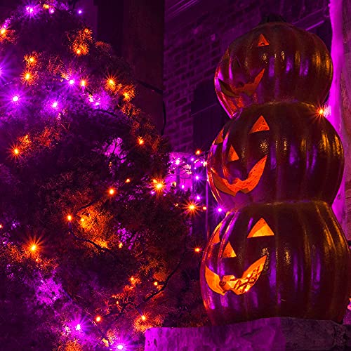 Purple and Orange Halloween Lights Battery Operated (16 Foot)