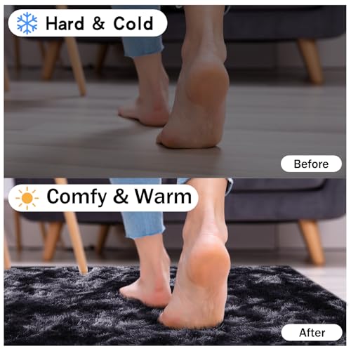 Rugs for Living Room (24 Sq Ft)