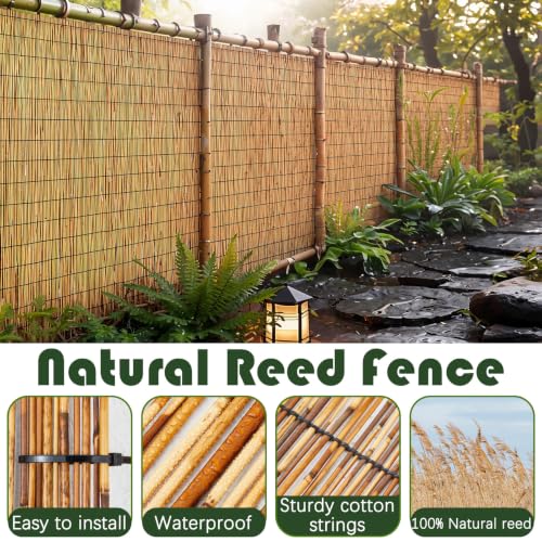 4 Pcs 3 x 16.4 ft Reed Fence Roller (4 Count)