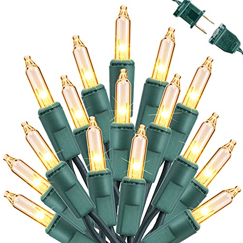 Clear Christmas Lights (25 Foot)