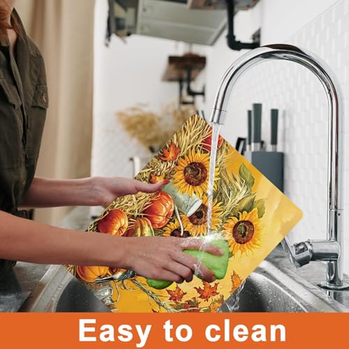 Fall Plastic Placemats Set of 6 Pumpkin Table mats 17×13×0.04in (6 Count)
