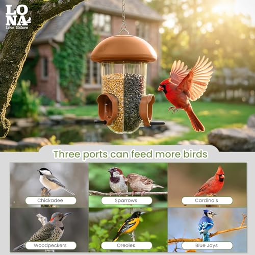 LONA Bird Feeder with 3 Compartments