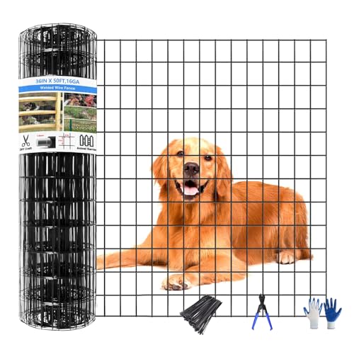 Welded Wire Fence