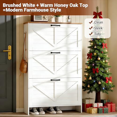 Shoe Cabinet for Entryway