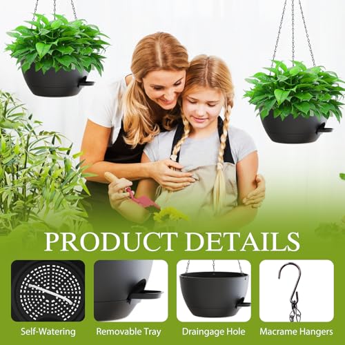 12 Inch Hanging Baskets 2 PC with Chains (2 Count)