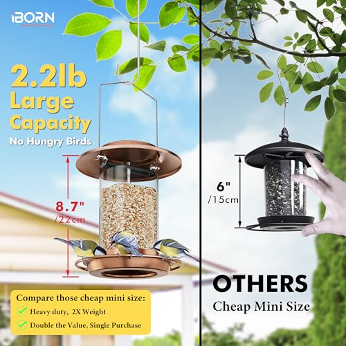 Metal Bird Feeders for Outdoors