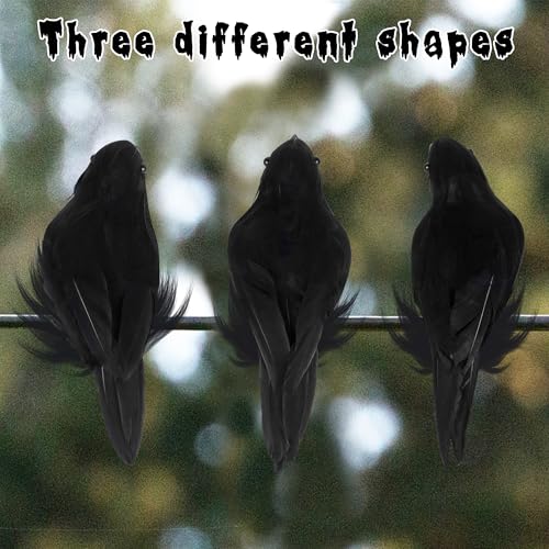 12 Pack Halloween Birds (12 Count)