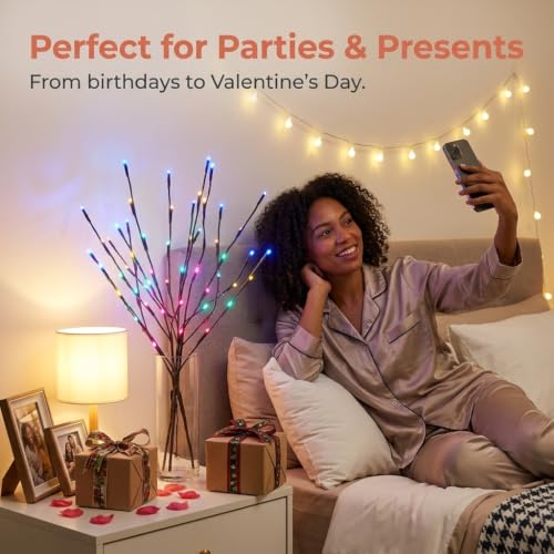 2 Pack Led Branch Light Battery Operated Lighted Branch Vase Filler Willow Tree Artificial Little Twig Power Brown 30 Inch 20 LED for Indoor Romantic (2 Count)