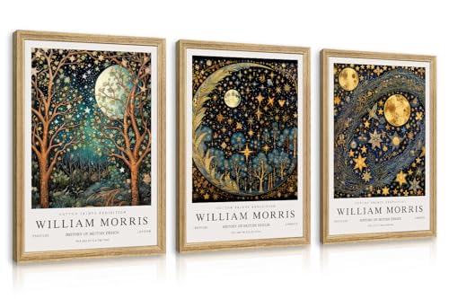 Wood Framed William Morris Moon Star Wall Art Set of 3