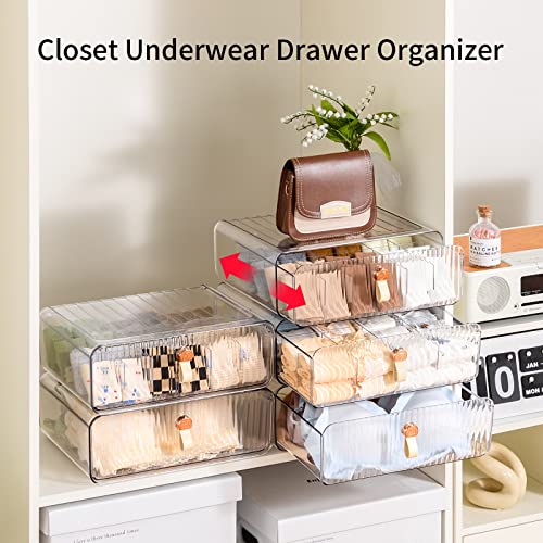 Underwear Organizer for Closet