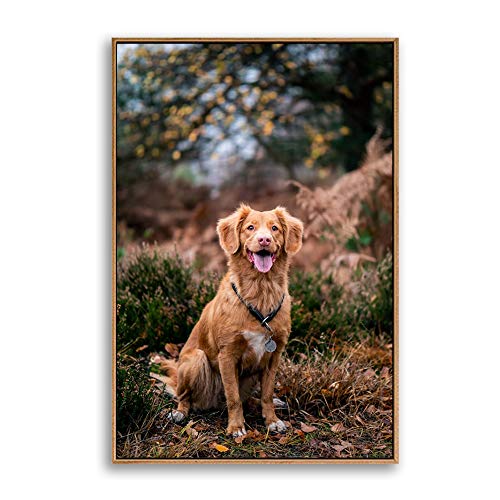 Custom Framed Canvas Prints with Your Photo for Pets