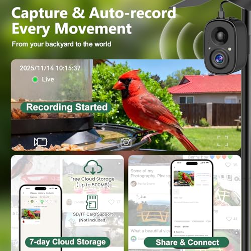 Smart Bird Camera Solar Powered with Pole for Feeder