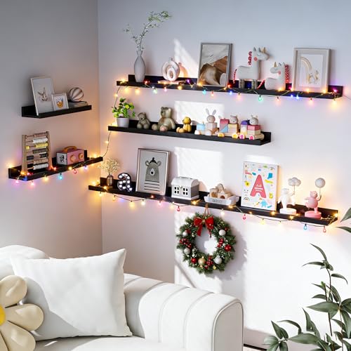 Picture Ledge Shelf