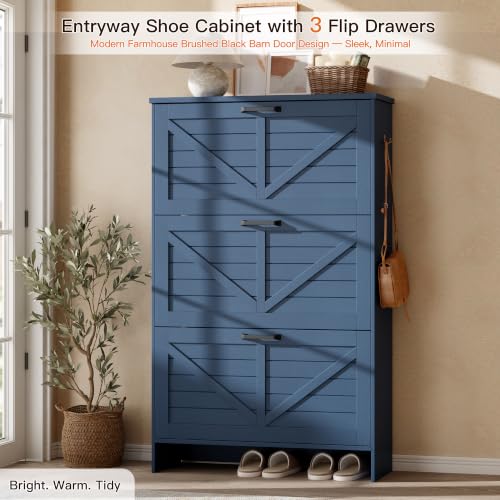 Shoe Cabinet for Entryway