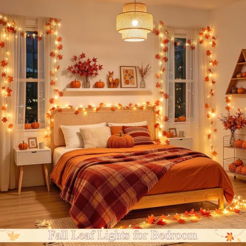 48 LED Maple Leaf Lights (48 Count)