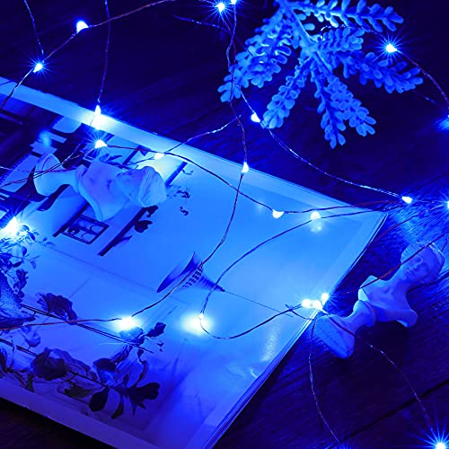 Led Fairy Lights Battery Operated (16 Foot)