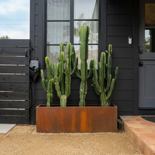 Corten Steel Rectangular Outdoor Planter Box