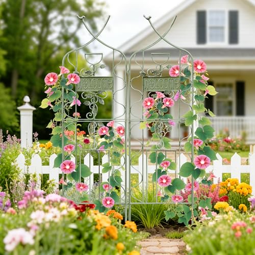 59.5 x 36in Rustic Iron Arch Decoration Garden Trellis with Metal Coating