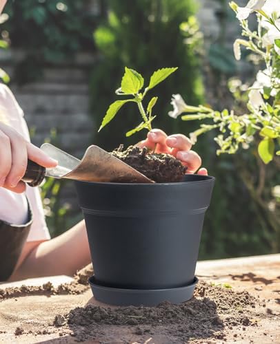 6 Inch Plastic Flower Pots with Drainage Holes and Trays (16 Count)