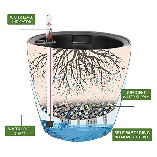 9x8 Self Watering Planter