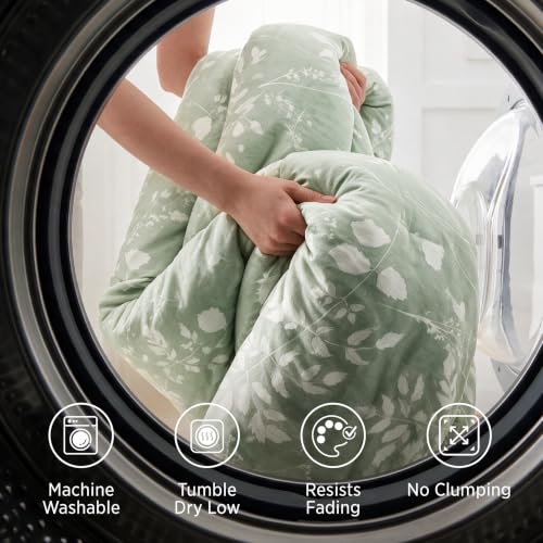 Sage Green Queen Comforter Set