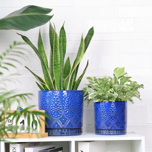 8 Inch + 6 Inch Indoor Plant Pot with Drainage Holes and Saucers (2 Count)