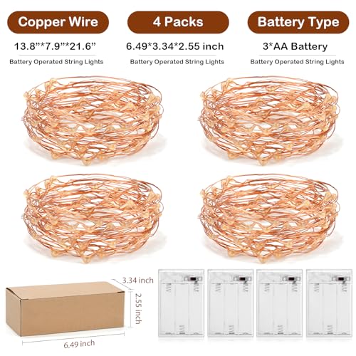 Led Fairy Lights Battery Operated (16 Foot)