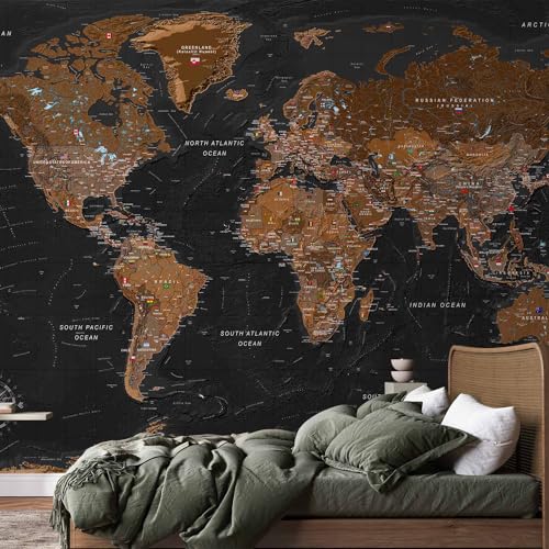 Wall Mural World Map 157x110 in (120.55 Sq Ft)