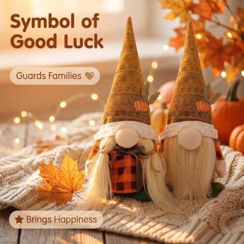 Fall Decorations for Home
