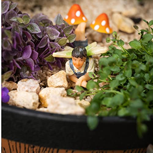 Fairies for Fairy Garden Accessories Kit Outdoor (7 Count)