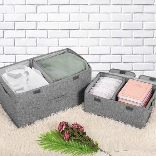 2 Pack Large Storage Boxes with Lids and Handles (2 Count)