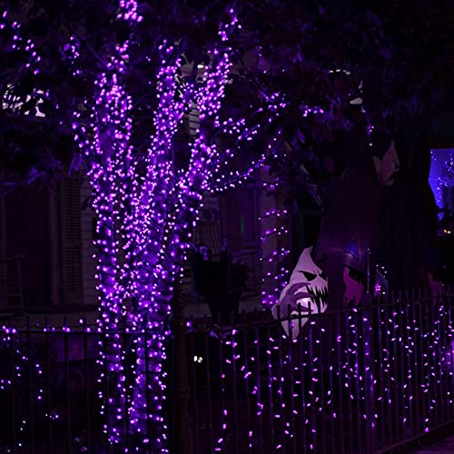 Purple Halloween Fairy String Lights (20 Foot)