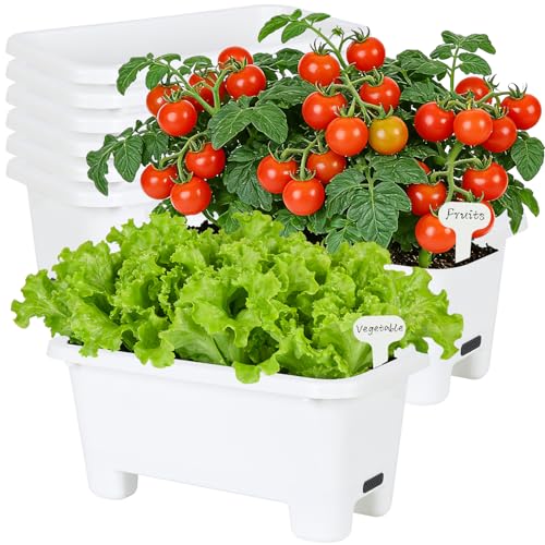Self Watering Rectangle Planter Boxes 8 (8 Count)