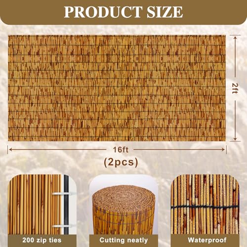 Reed Fencing Rolls (133.34 Sq Ft)